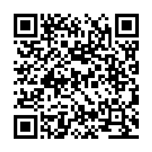 但是如果说是一个头脑灵活善于协调的管委会主任二维码生成