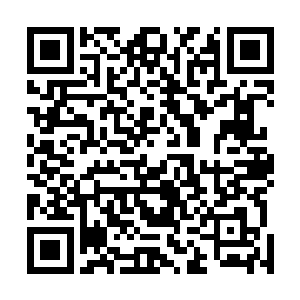 但是如果魔族的舰队都已经把冰雪荒原当成进攻目标的话二维码生成