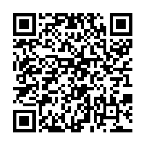 但是妮娜还是义无反顾地开始了跟两个新伙伴的旅程二维码生成