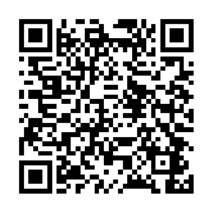 但是它们似乎受到了什么神秘力量的激活变得异常活跃二维码生成