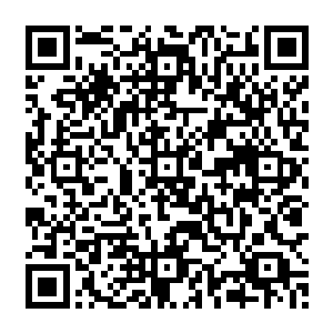 但是定王府世子小宝长大后却依然知道了他爹这辈子对他说的第一个字就是嫌弃他长得丑二维码生成