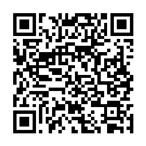 但是实际上在武魂大世界过去的还不到一年的时间二维码生成