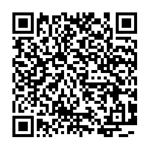 但是对于黑暗深渊的亡灵来说他们的实力根本没有什么值得害怕的二维码生成