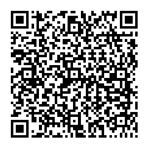 但是对力量的渴求却让小三有种发自内心的煎熬――感受过富裕生活的人很难再过贫苦的生活二维码生成