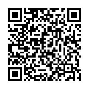 但是对能量波动异常敏感的生命树幼苗却明显不在其中的二维码生成