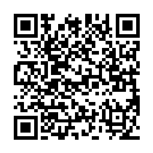 但是就是这层极为柔软的组织却将真元分子挡在了门外二维码生成