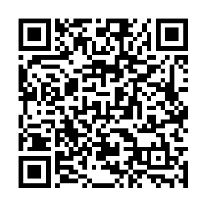 但是已经用木鸢神不知鬼不觉的杀死了三十一个人二维码生成