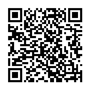 但是并没有什么属于他们自己的高楼大厦等不动产二维码生成