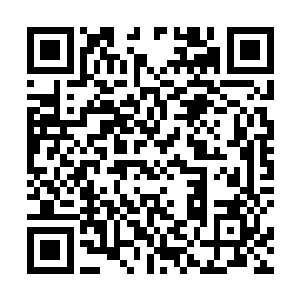 但是当他感受到波塞希身上释放出来的可怕气势的时候二维码生成