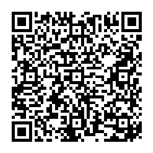 但是当我听到了五十万人名币这个说法之后不禁心中感觉和这里的环境似乎格格不入二维码生成