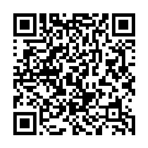 但是我也不知道最终能不能抵挡住混沌兽和域外天魔的攻击二维码生成
