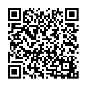 但是我们的孤独……却在你的压迫下变得微不足道二维码生成