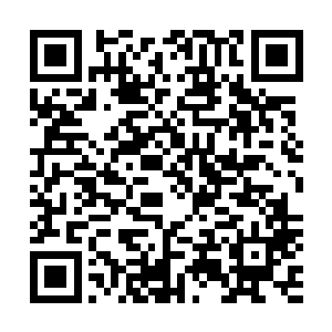 但是我始终无法接受一条生命就这样永远的消失在天地间了二维码生成