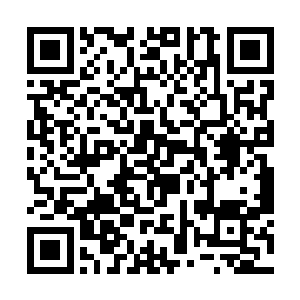 但是我来的时候你们不也是还做着人死会复生的梦吗二维码生成