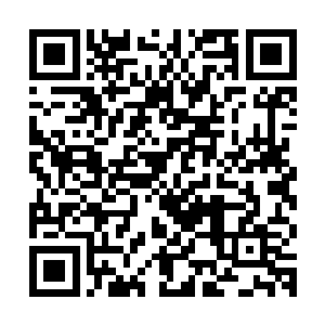 但是攻击一些不太重要的地方让他丧失行动能力大概就可以了吧二维码生成