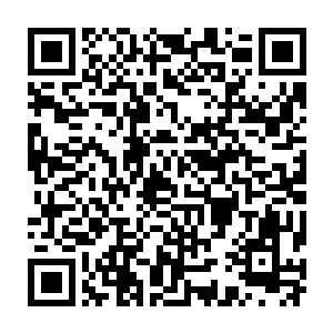 但是效果起几乎比当初秦方灭杀的那个忍者的隐匿效果还要更好一些二维码生成