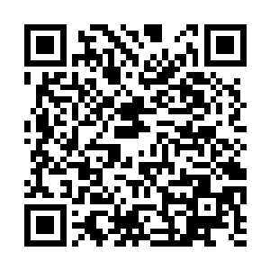 但是方炎每一次的表现都会重新刷新他们的世界观二维码生成