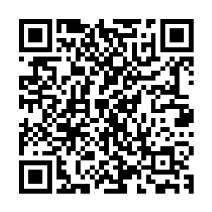 但是时刻的期望着她下一次轻轻的落在你最敏感的那一处心扉上二维码生成