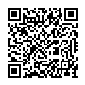 但是显然……霍无忌有些高估了这条项链的作用二维码生成