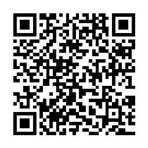 但是显然终究只是一个没有经历过什么风浪的温室的花朵罢了二维码生成