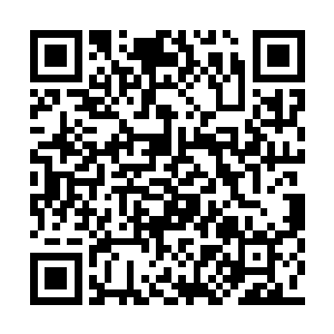 但是显然除了几件长辈赏赐的压箱底的重宝之外二维码生成