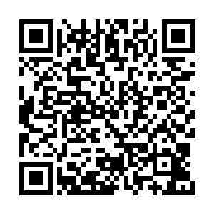 但是杨戬日后的成就可是取决于两方世界的演化二维码生成