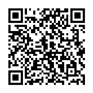 但是林烽的脑海当中却浮现出了昨晚旅馆里的陈露萍二维码生成