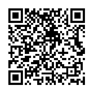 但是梓箐从收获的战利品中能用的上的武器也越来越多了二维码生成