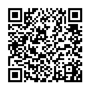 但是此刻跟着苏凡相比刀疤男子甚至感觉自己平时动刀子什么的二维码生成