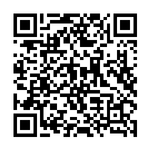 但是每次二姨家都嫌男方地条件不够理想而没了下文二维码生成