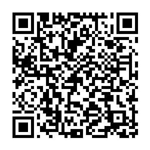 但是比起断了一臂依然气度宏伟的镇南王来说就显得太上不得太面了二维码生成