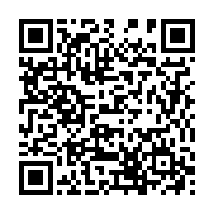 但是毫无疑问他对自己的老搭档是相当信任和放心的二维码生成