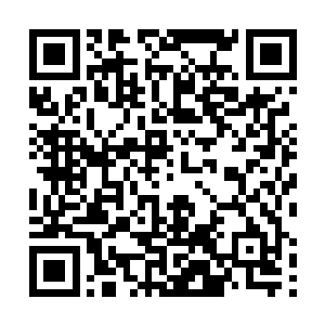 但是没料到气血这种不同于自然产生的力量如此的狂暴二维码生成