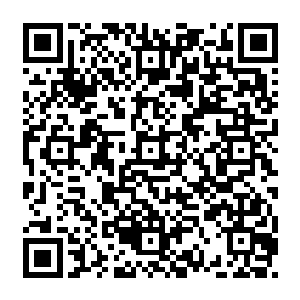 但是没有绝对的实力想要在三狮会这种级别的比赛上速战速决几乎是不可能的事情二维码生成