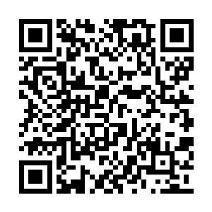 但是没见过这么傻的呀……一秒钟一万血修罗币二维码生成