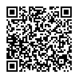 但是流墨墨手中注入的能量却好像是帮早已勾勒好的图样着色一般二维码生成