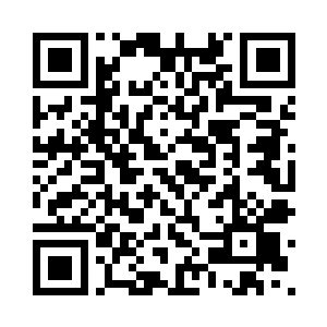 但是海澜门的长老确是还没有到此二维码生成