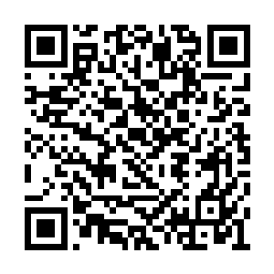 但是玄玉果即便是在修仙界也是十分顶级的药材二维码生成