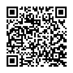 但是现在却实实在在地做了一个对龙傲天来说至关重要的决定二维码生成