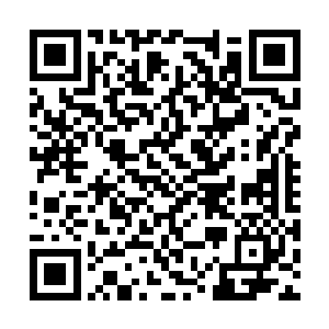 但是现在对于青年的命令老者也不敢有丝毫的怠慢二维码生成