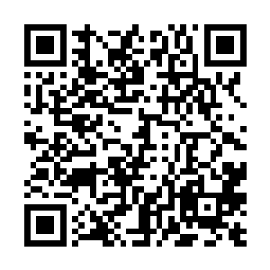 但是现在苏凡已经完完全全的被白子河的记性所择服二维码生成