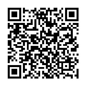 但是现在这个时候提及这些都已经没有了任何的意义二维码生成
