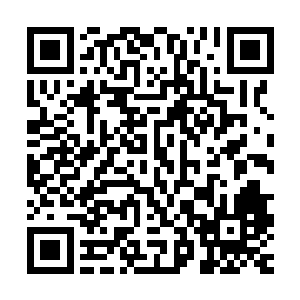 但是用眼角的余光却扫到了莫小鱼手里不知道什么时候多了一把二维码生成