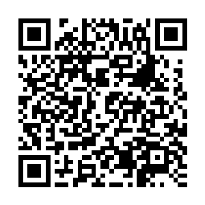 但是白家送去的那几个人却是运气不好正好撞到墨修尧的刀口上二维码生成