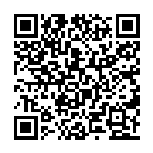 但是百代唱片的底蕴却是其他公司所羡慕的对象二维码生成