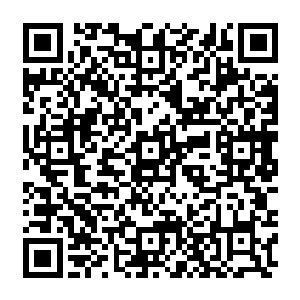 但是直接被流墨墨拍骨折的肩膀让他清醒的认识到现在流墨墨急需处理自身的问题二维码生成
