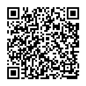 但是看看已经站在赵长枪左右的赵炳武和赵庆猛好像哼哈二将一样保护着赵长枪二维码生成