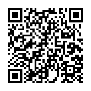 但是真正的进化到五彩凤凰的几率可是少之又少的二维码生成