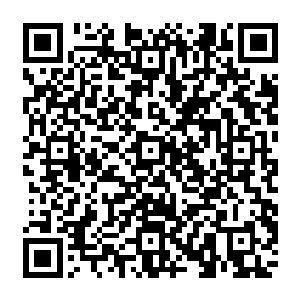 但是真灵之中的恐怖的真灵之力可是直接通过了真灵生死契疯狂的朝着杨戬的身上狂涌而来二维码生成