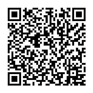 但是等到他们看到许紫烟带着近八千修士突然出现在城池上空的时候二维码生成